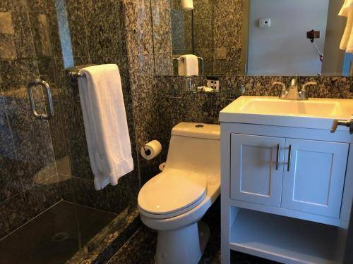 Hotel East Houston, New York
